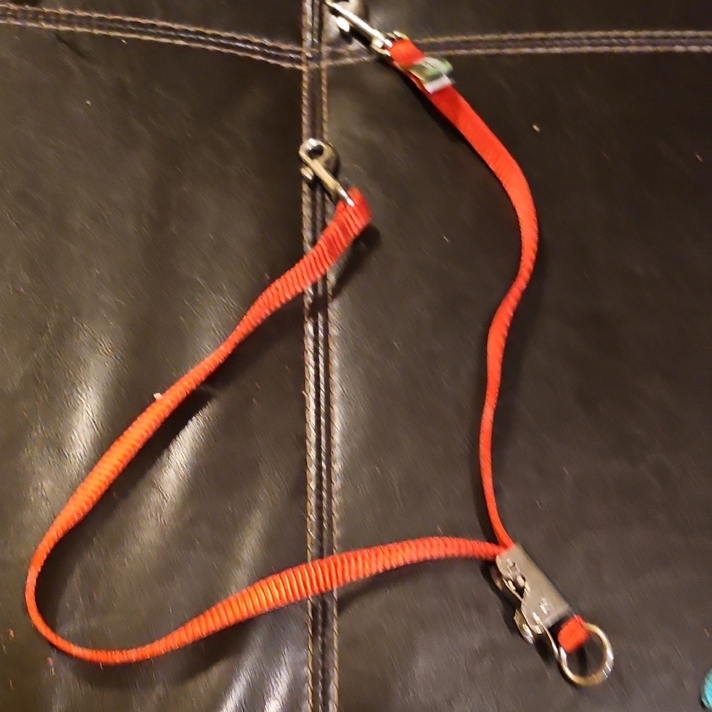 Red Dog Leash